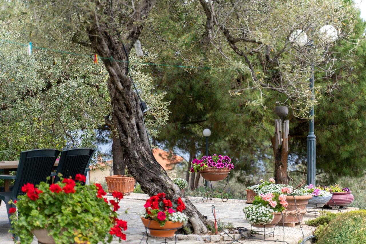 Villa Elia Kavala - Mediterranean Holiday Villa PalaiónTsiflíkion Esterno foto