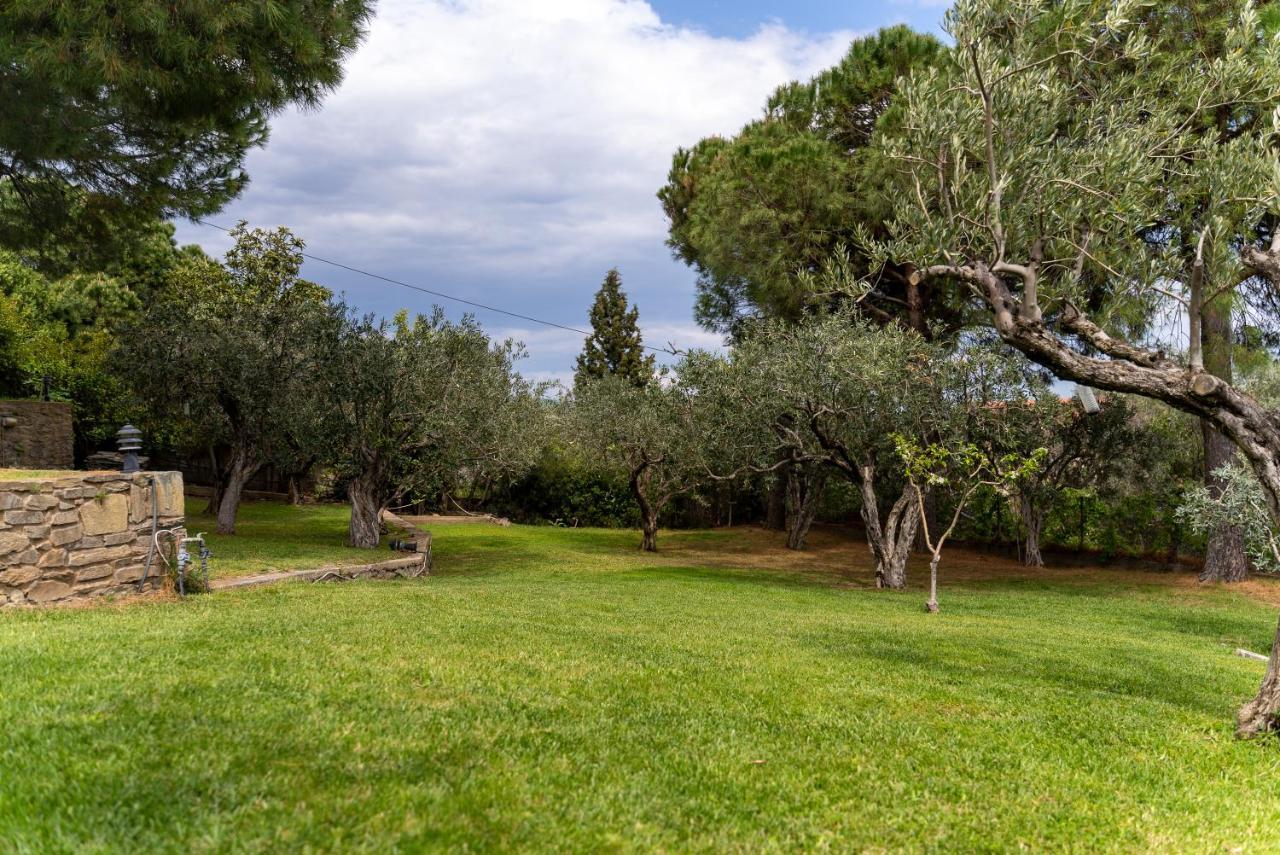 Villa Elia Kavala - Mediterranean Holiday Villa PalaiónTsiflíkion Esterno foto